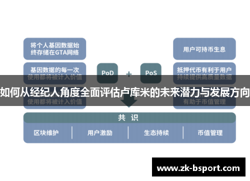 如何从经纪人角度全面评估卢库米的未来潜力与发展方向