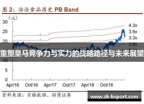 重塑皇马竞争力与实力的战略路径与未来展望 重塑皇马竞争力与实力的战略路径与未来展望
