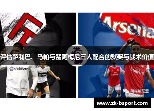 评估萨利巴、乌帕与楚阿梅尼三人配合的默契与战术价值